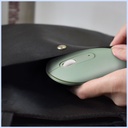 Prolink Wireless Silent Mouse GM-2001