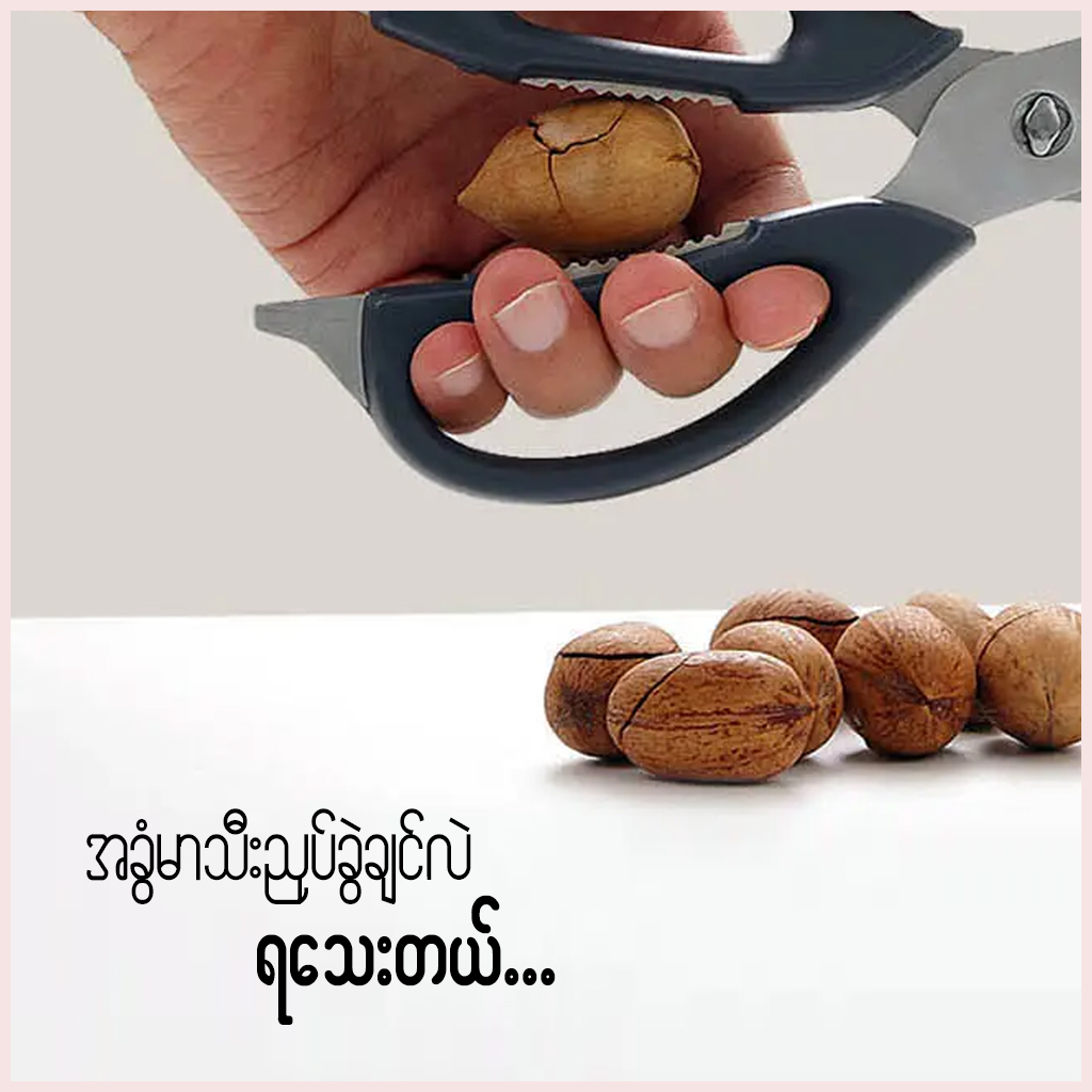 Mi Huohou Kitchen Scissors