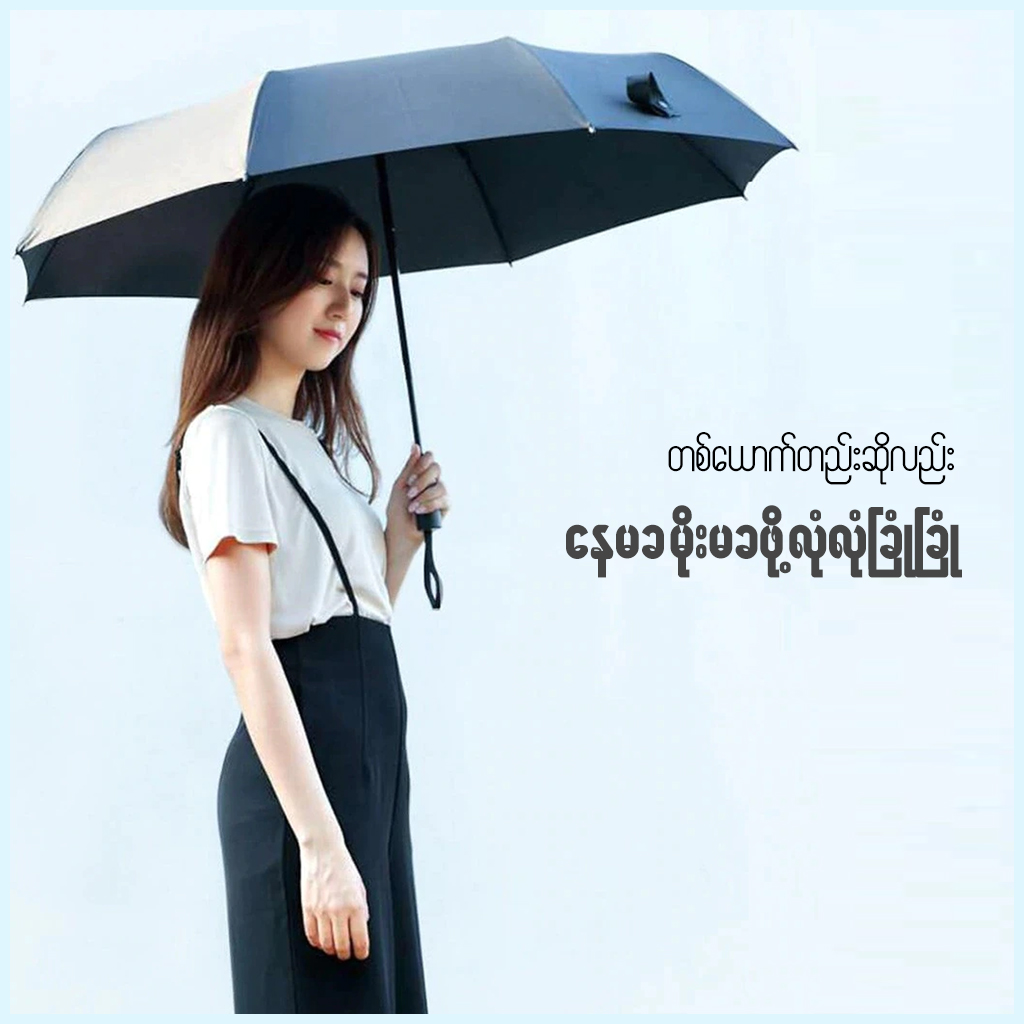 Mi mijia Automatic Folding Umbrella