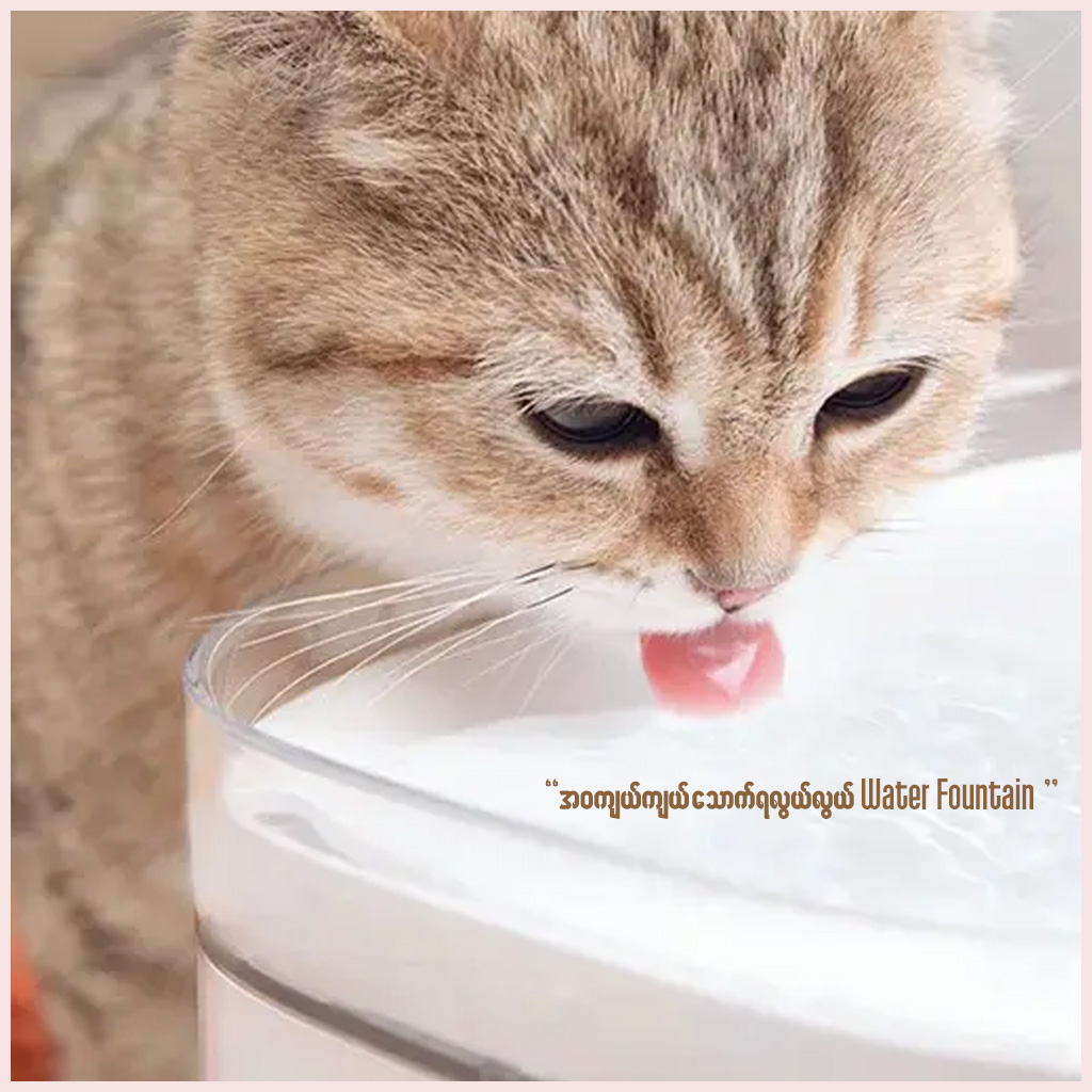 Mi Mijia Smart Pet Water Fountain