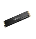 SP M2 SSD PCIe 256GB (XD80)