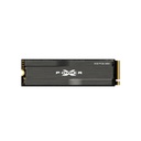 SP M2 SSD PCIe 256GB (XD80)
